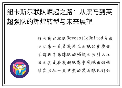 纽卡斯尔联队崛起之路：从黑马到英超强队的辉煌转型与未来展望