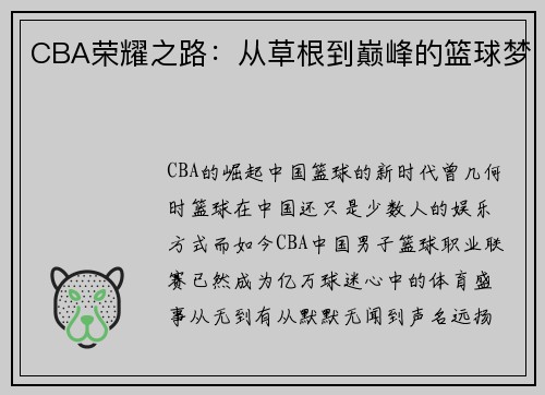 CBA荣耀之路：从草根到巅峰的篮球梦