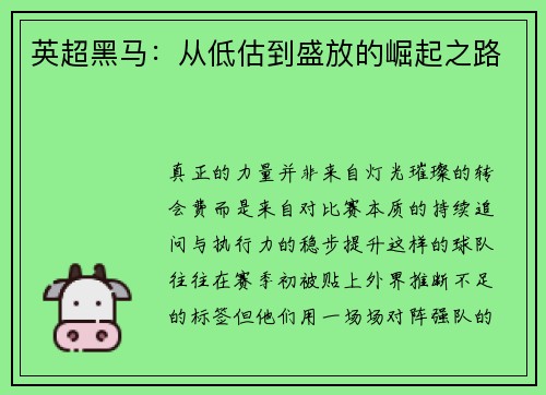 英超黑马：从低估到盛放的崛起之路