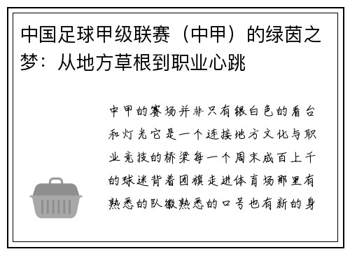 中国足球甲级联赛（中甲）的绿茵之梦：从地方草根到职业心跳
