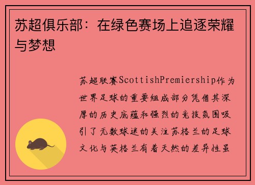 苏超俱乐部：在绿色赛场上追逐荣耀与梦想